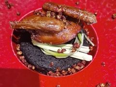 -南堂馆·新川菜(春熙路店)