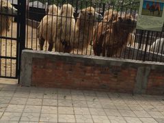 -保定市动物园