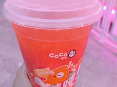 -CoCo都可(北苑K酷店)