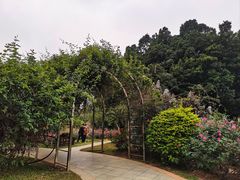 -人民公园(罗湖区)