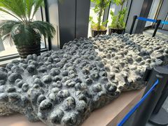 -辽宁古生物博物馆