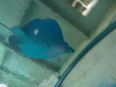 -北戴河圣蓝海洋公园