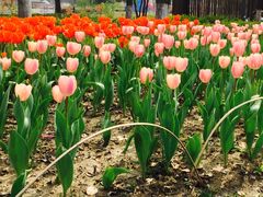 -玄武湖景区-情侣园游乐场