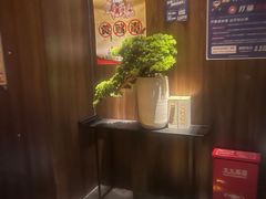 -江南足纪·影院足道·轻奢SPA(笋岗HALO广场店)