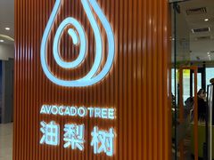 -油梨树 AVOCADO TREE(亮马桥店)