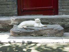 -北京鲁迅博物馆(北京新文化运动纪念馆鲁博馆区)