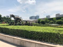 -陕西自然博物馆