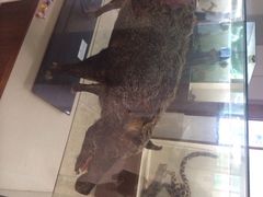 iphone_upload_pic-下渚湖国家湿地公园科普馆