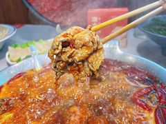 -渝大龙重庆火锅(温泉月亮湾店)