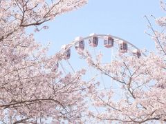 -静安雕塑公园