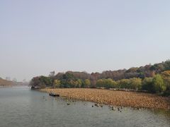 -浙江省博物馆(孤山馆区)