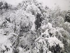 -瓦屋山景区