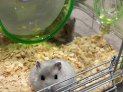 -FAELING PETS美天灵宠物(合生汇店)