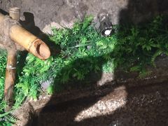 -老湘亲·品鉴湘菜(湖里店)