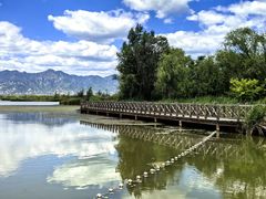 -野鸭湖国家湿地公园