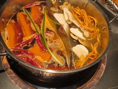 -季季山•云南野生菌火锅(上海首店)