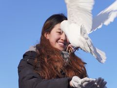 -天津妈祖文化园