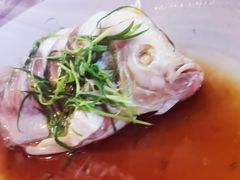 清蒸石斑鱼-同庆楼(花园店)