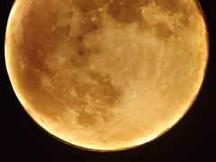 -武汉5D星空错觉艺术馆(中心百货店)