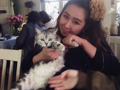 -海边的猫和咖啡馆
