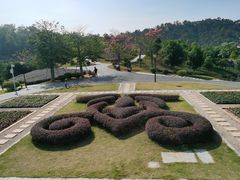 -东莞植物园
