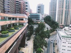 -香港大学