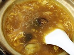 招牌花胶海参煲仔翅-添發碗仔翅美食