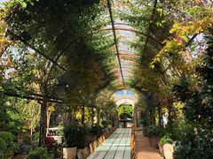 -The Grounds of Alexandria