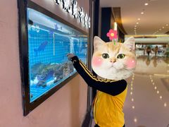 -马邦子·紫苏烤鱼(恒隆广场店)
