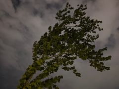 -湖南省立第一师范学校旧址