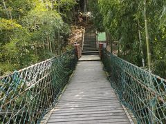 -众神白水涧景区