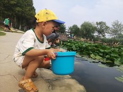-前关湿地公园