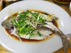 清蒸泉水鲩鱼-成惠食府(赤岗店)