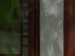 -望江楼公园