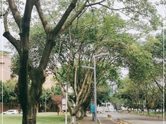 -四川大学(望江校区)