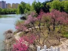 -禹州森林植物园