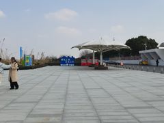 -碧海金沙