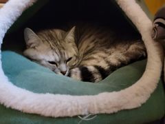 -H立方实景剧情密室(天河旗舰店)