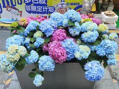 -南京西路(地铁站)