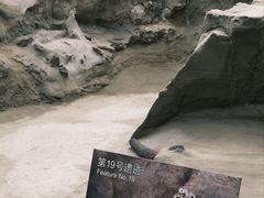 -金沙遗址博物馆