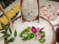 -烹然四季椰子鸡火锅(姚家园万象汇店)
