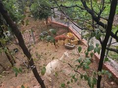 -丽泽山庄·生态怀柔菜·虹鳟鱼(红螺寺店)