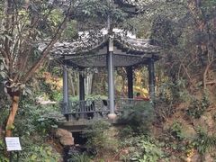 -广州市白云山风景名胜区