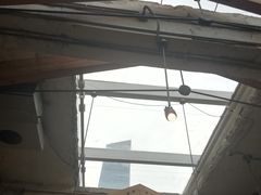 -三秋舍·梦幻岛(小西路店)