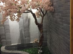 -迈格笙SPA·影院式足道·采耳(金桥店)