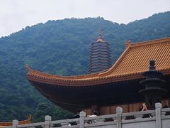 -深圳仙湖植物园