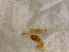 -耳艺采耳·足疗(东圃店)