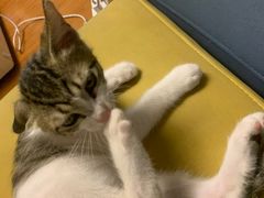 -中百罗森(新武展店)