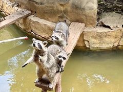 -长鹿旅游休博园