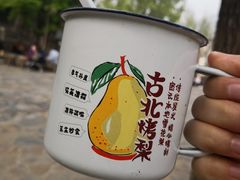 烤梨-古北烤梨